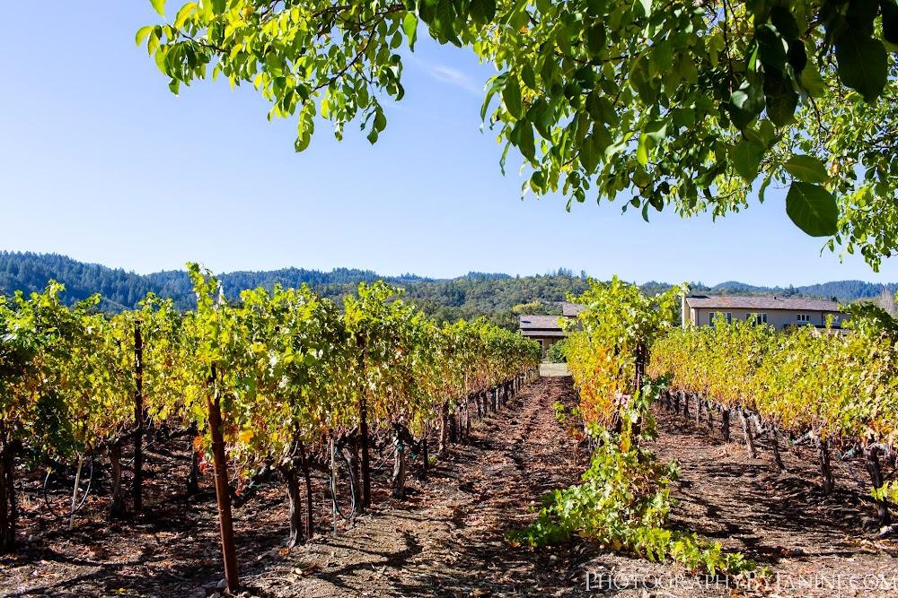 Tedeschi Family Winery – Napa Valley, CA