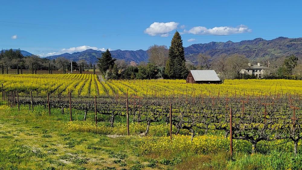 Trinchero Napa Valley Winery
